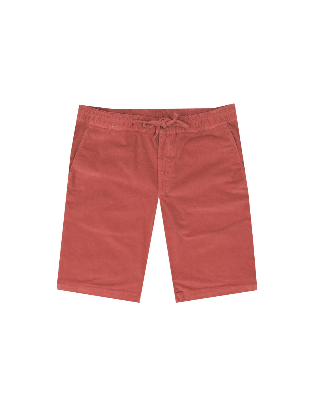 Bermuda micropana Rojo