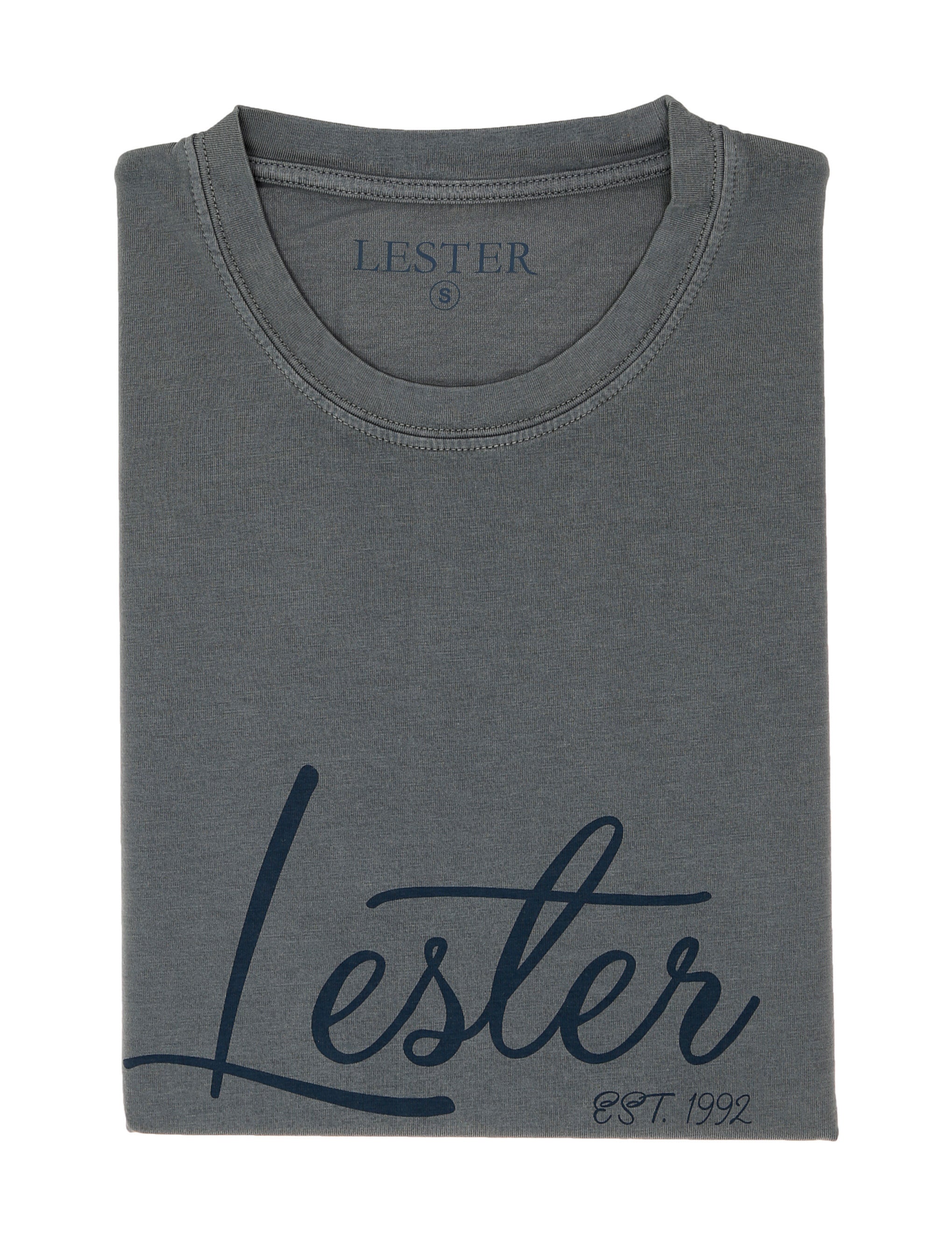 Camiseta lavada lester Gris