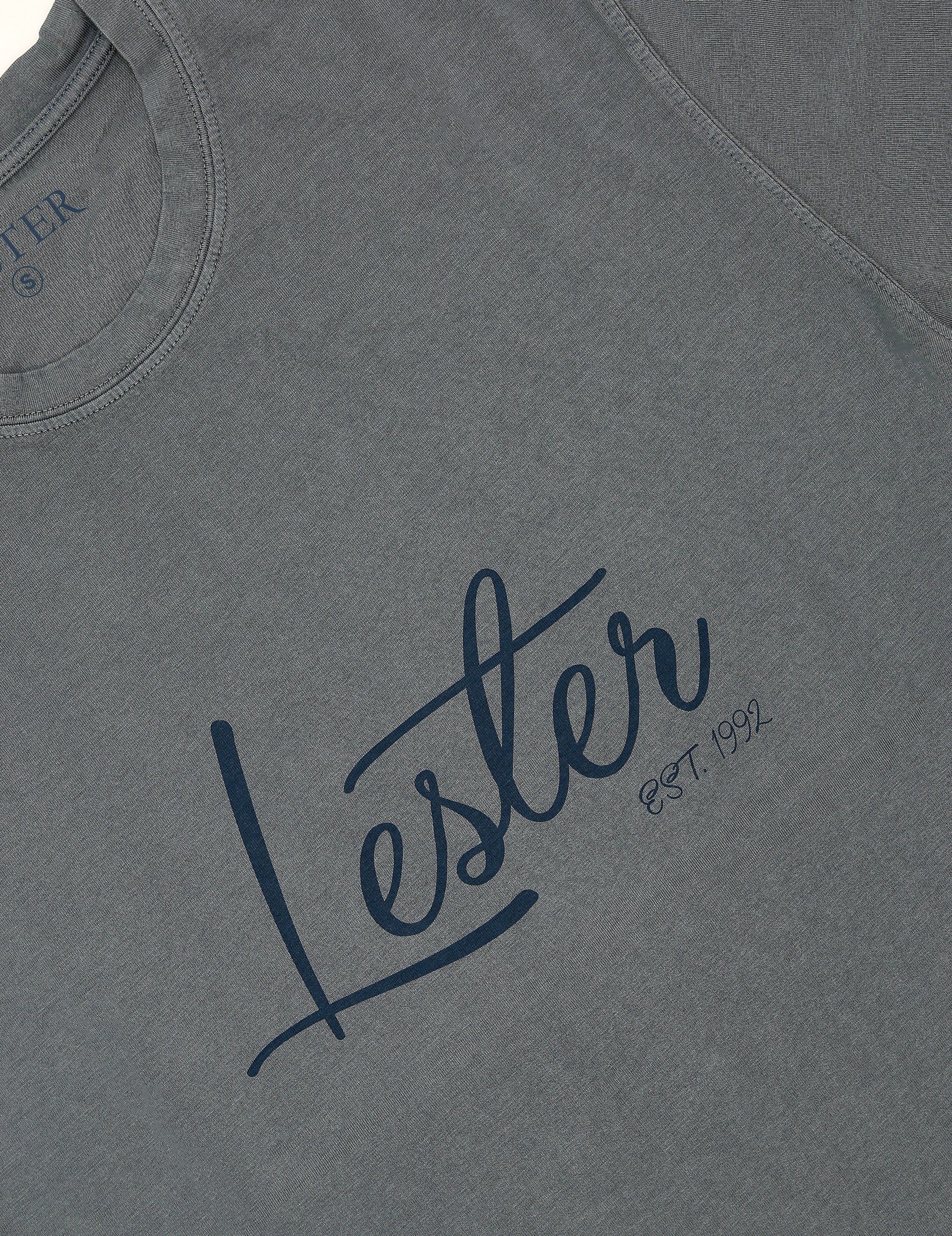 Camiseta lavada lester Gris