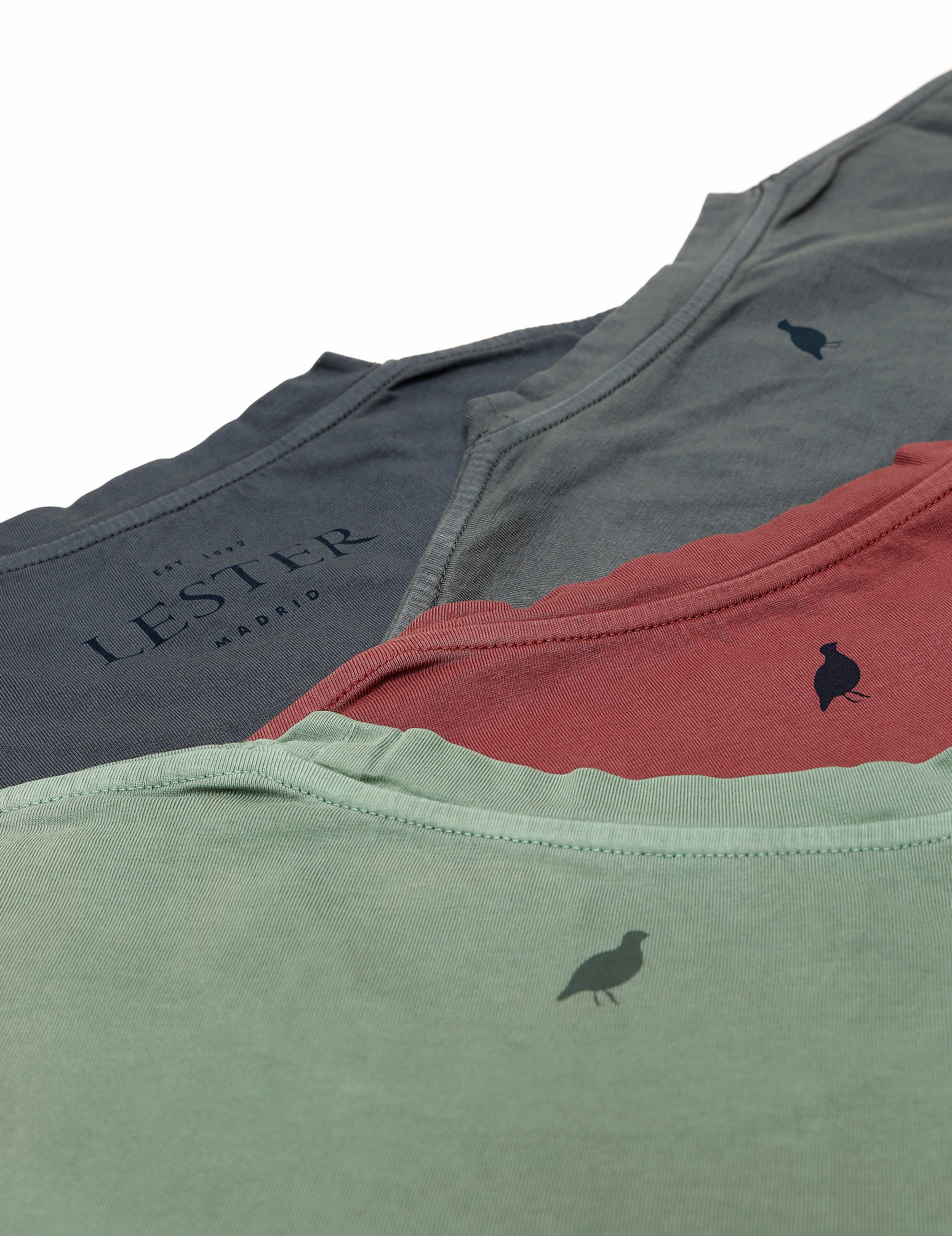 Camiseta lavada lester Gris