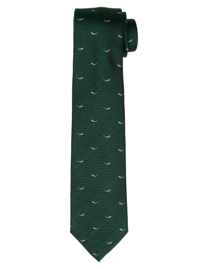 Corbata guindilla Verde/azul