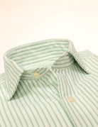 Camisa sport oxford  raya fina Verde