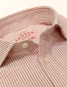Camisa sport oxford raya fina Burdeos