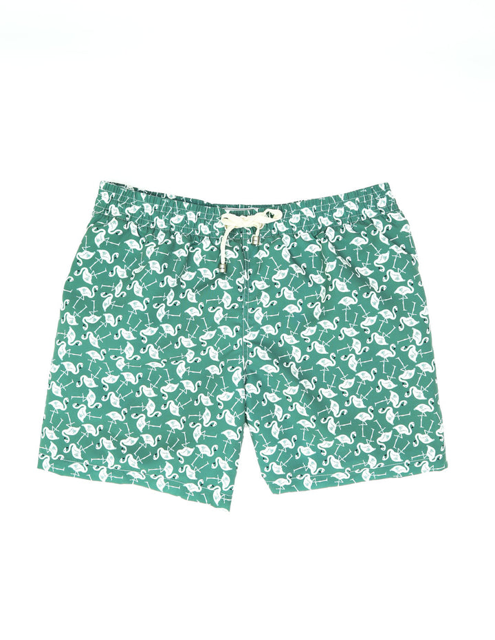 Traje de baño flamencos Verde