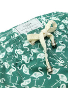 Traje de baño flamencos Verde