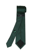 Corbata raya falsa Azul/verde