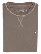 Sudadera lavada perdiz Gris