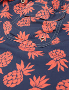 Traje de baño piñas Azul/rosa