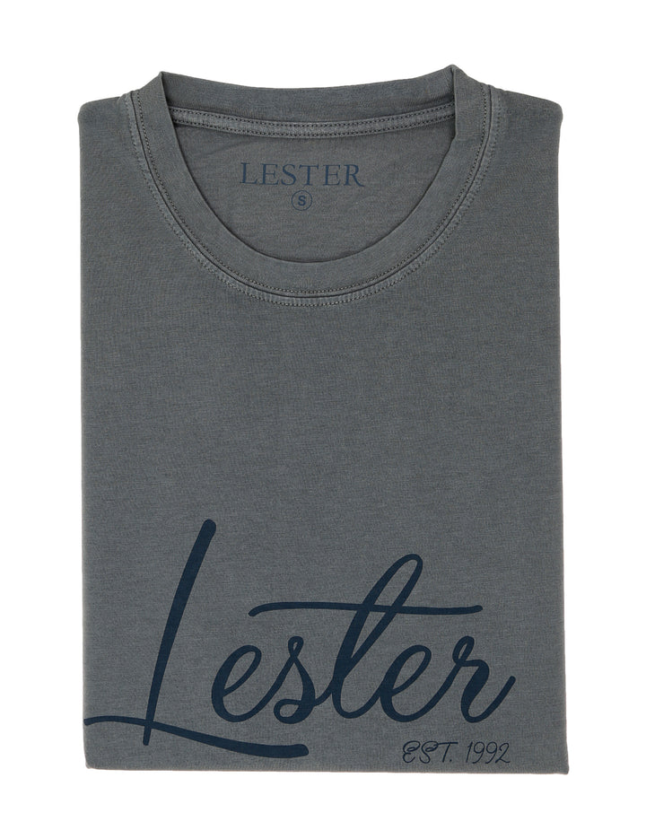 Camiseta lavada lester Gris